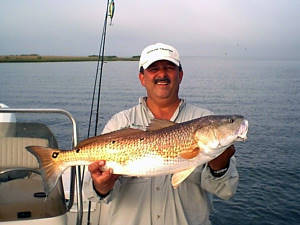 Capt. Billy Catches A Redfish
