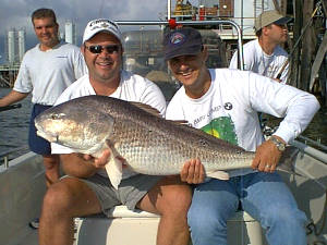 Monster Redfish Caught on a Titeline Charter