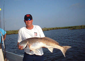 13 inch redfish caught on a New Orleans Fishing Charter