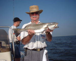 Huge Speckled Trout Caught by Fisherman from New Orleans